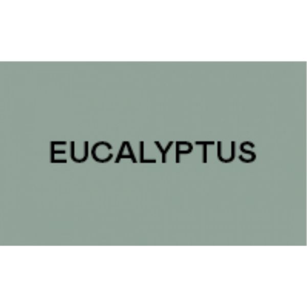 KETTLER HOI SPEED Eucalyptus