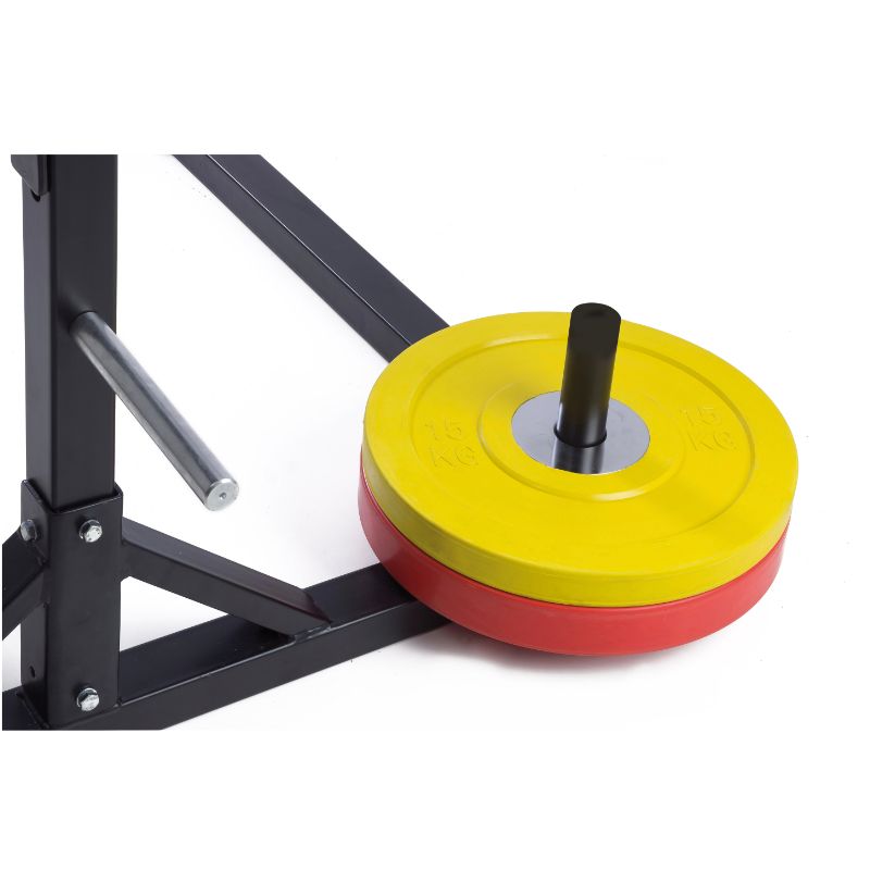 Toorx wlx 80 best sale